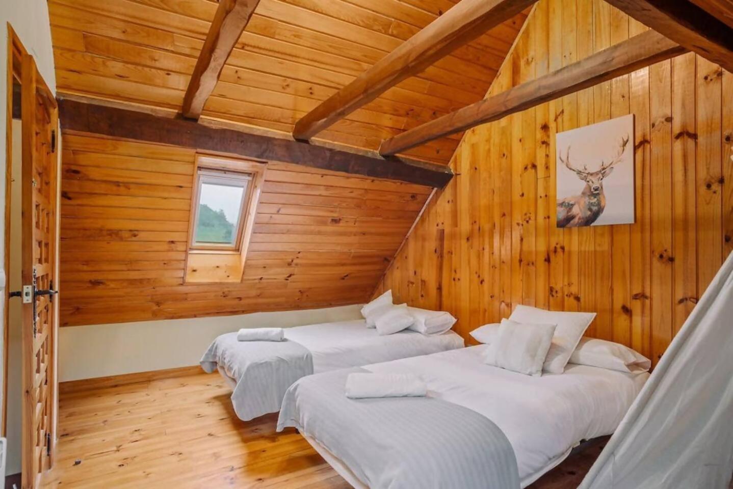 Sallent de Gállego Casa Rural Arix מראה חיצוני תמונה